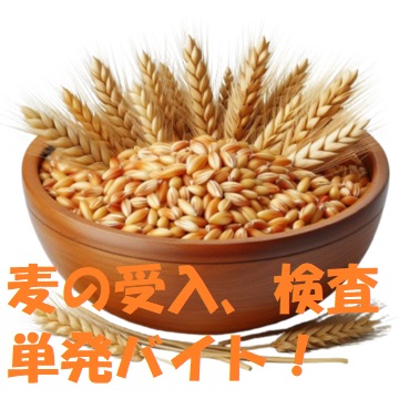 バイト先の写真